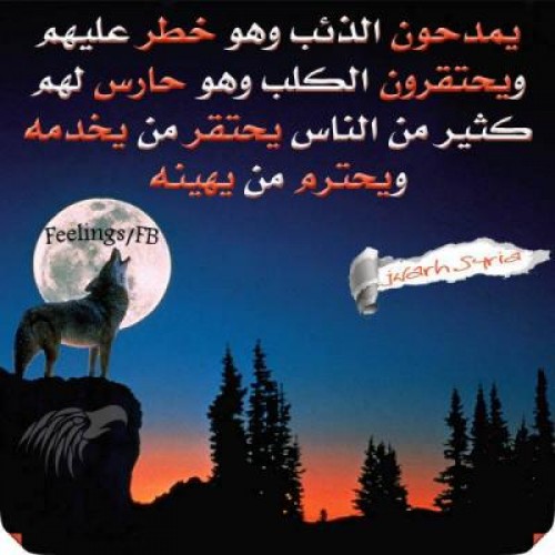 bntpal_1426500367_92