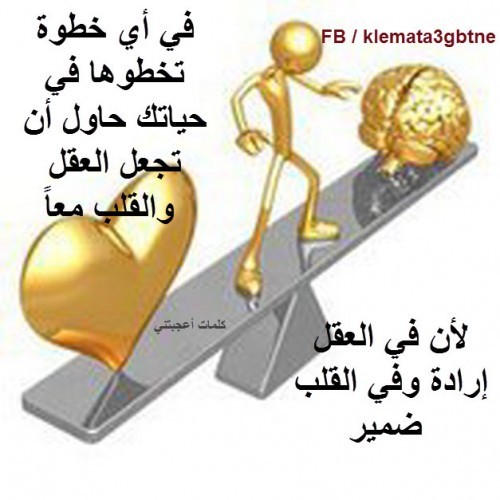bntpal_1426500368_30