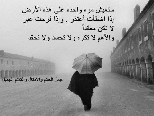 bntpal_1426500368_88