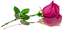 bntpal_1426582386_20