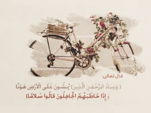 bntpal_1426600765_62