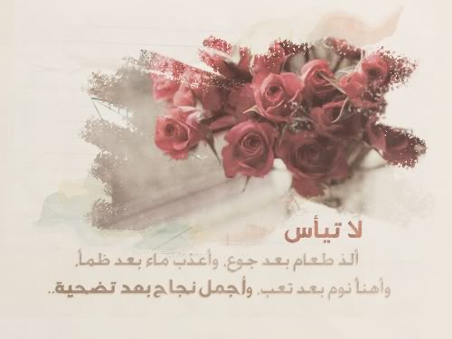 bntpal_1426600766_79