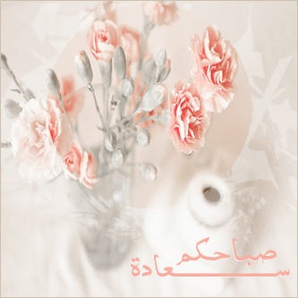 bntpal_1426669126_56