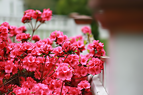   bntpal_1426707647_85