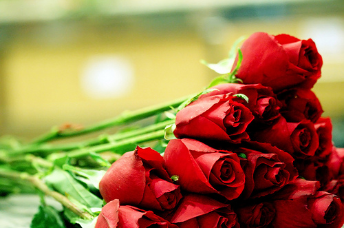 bntpal_1426743212_86