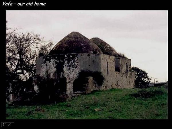  bntpal_1426757124_31