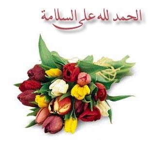 ..... bntpal_1426761302_84