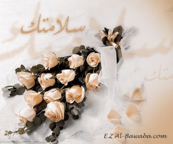 ..... bntpal_1426761302_91