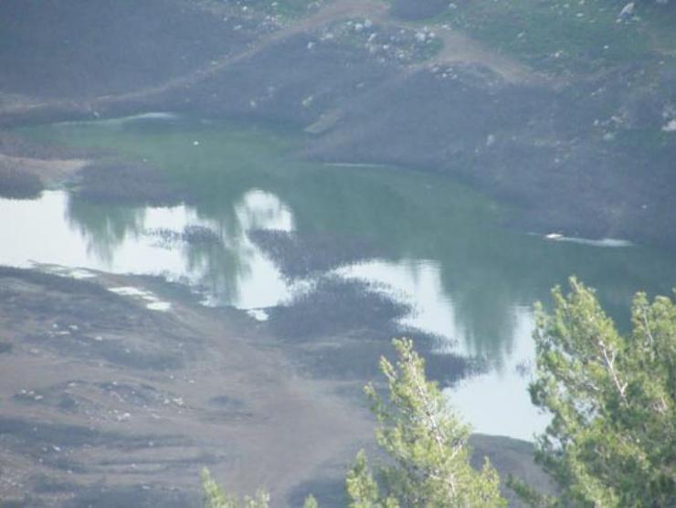 bntpal_1426791305_29