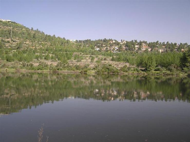 bntpal_1426791306_72