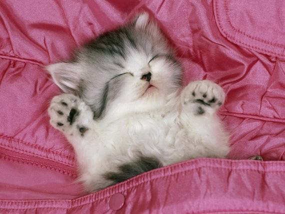 "  " ღ bntpal_1426843991_56
