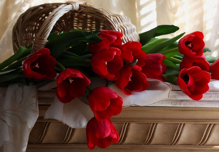 .. bntpal_1426863677_22