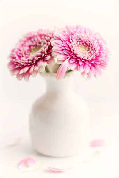 .. bntpal_1426864147_19