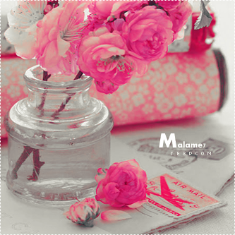 2015 2016 bntpal_1426927503_68