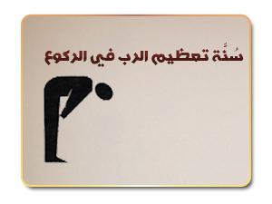 bntpal_1426935246_99