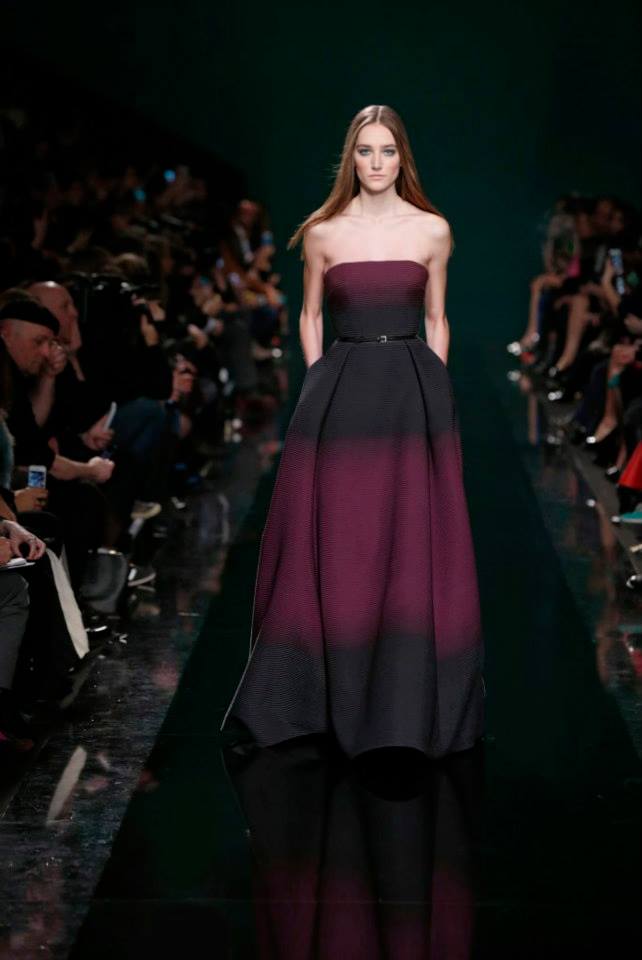  Elie Saab  2015 bntpal_1426940132_57