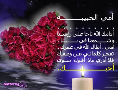 bntpal_1426955488_41