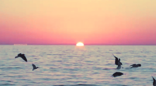 bntpal_1426956049_56