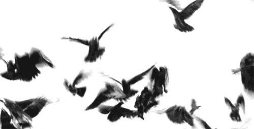 bntpal_1426956052_78