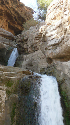  bntpal_1426969995_33