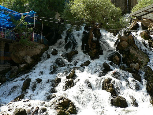  bntpal_1426969995_85