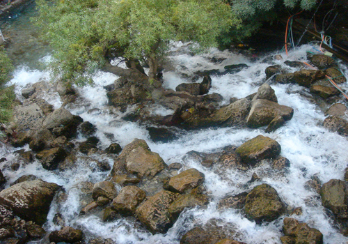  bntpal_1426969999_37