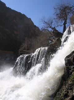  bntpal_1426970000_90