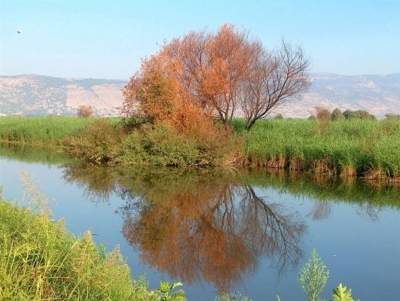 bntpal_1427011384_78