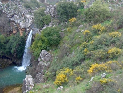 bntpal_1427011406_84