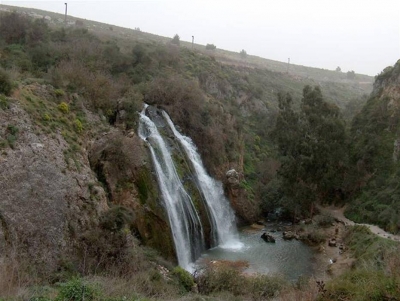 bntpal_1427011406_91