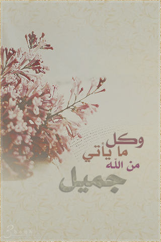 2015 2015 bntpal_1427018274_72