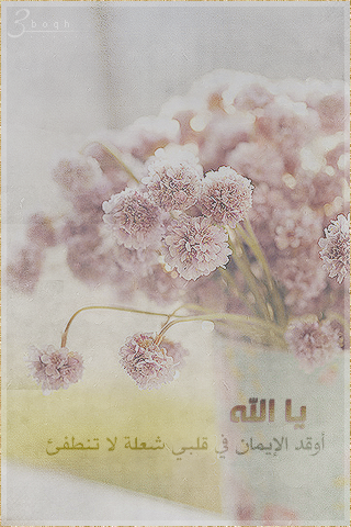 2015 2015 bntpal_1427018276_97