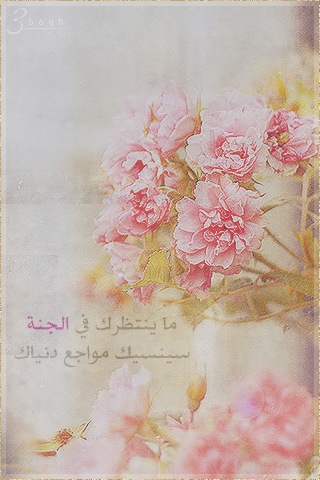 2015 2015 bntpal_1427018278_63
