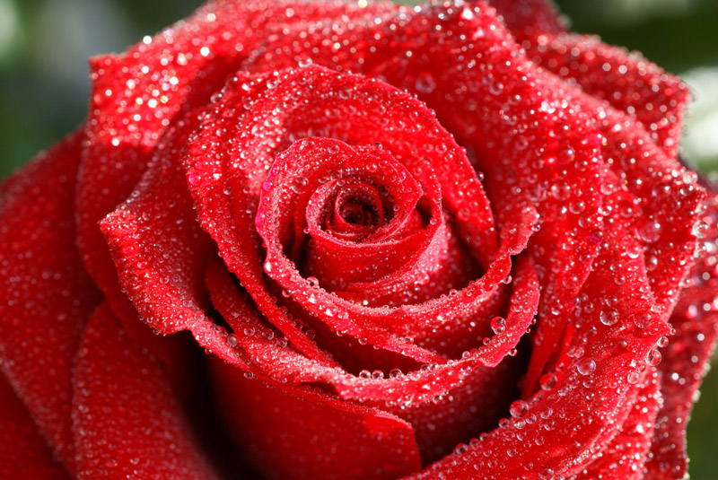 bntpal_1427033170_16