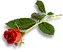 bntpal_1427126549_47