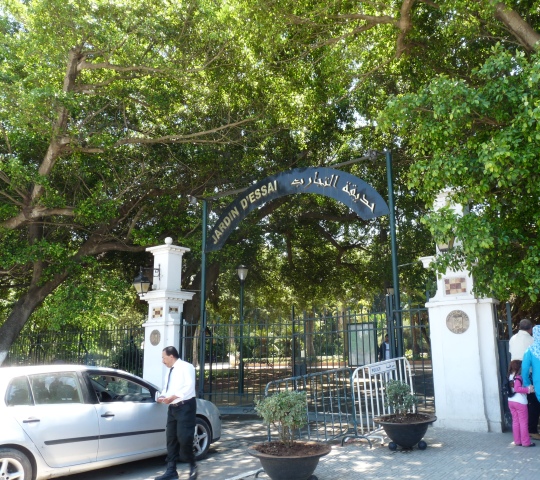  bntpal_1427138532_96