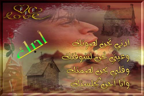 bntpal_1427211922_32