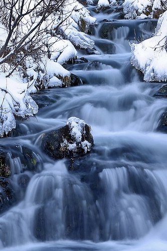 bntpal_1427213643_44