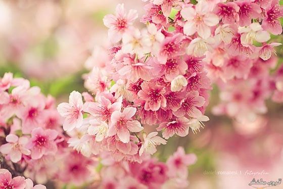 ! bntpal_1427287201_85