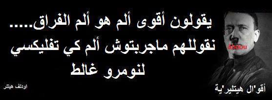 bntpal_1427385832_21