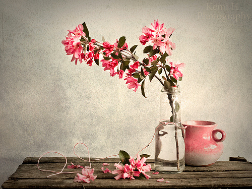    bntpal_1427386910_22
