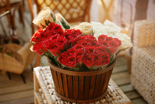    bntpal_1427386911_99