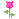 bntpal_1427425640_28