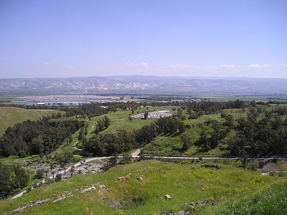 bntpal_1427452488_45