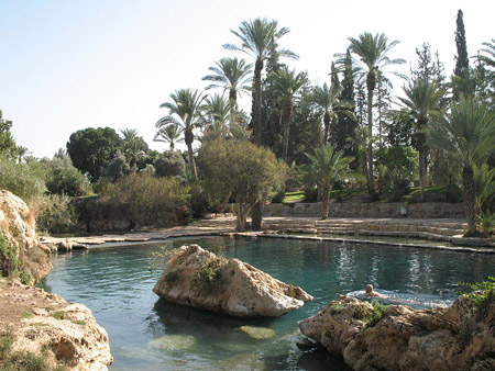 bntpal_1427452492_94