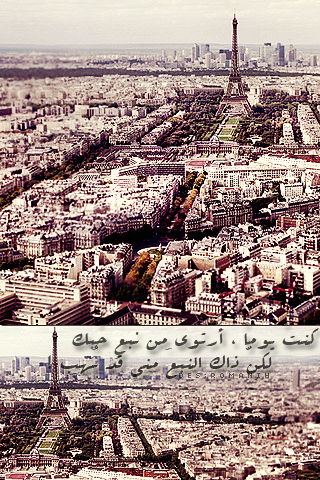 bntpal_1427485639_43