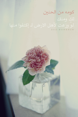 bntpal_1427485640_74