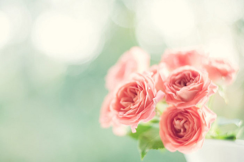 bntpal_1427610498_94