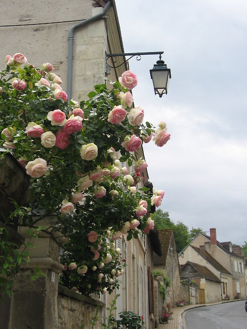bntpal_1427610501_97