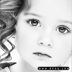  bntpal_1427624952_29